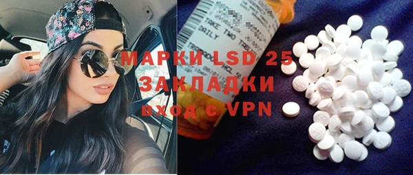 прущие грибы Аркадак
