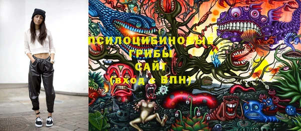 молекула духа Арсеньев
