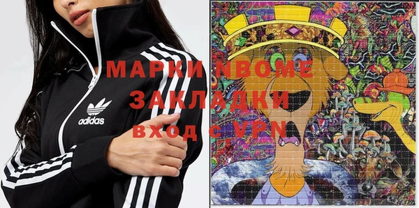 прущие грибы Аркадак