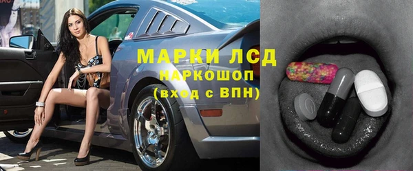 молекула духа Арсеньев