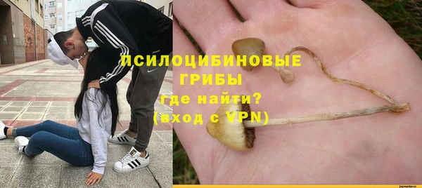 эйфоретик Пролетарск