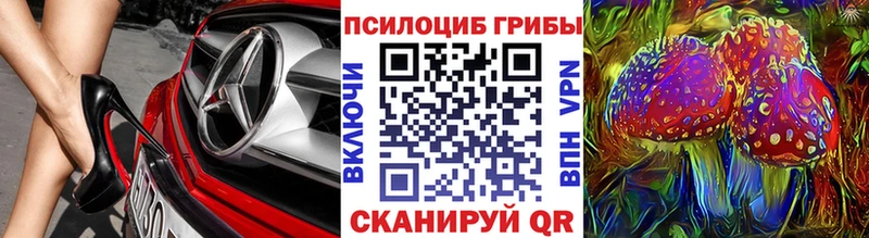 Псилоцибиновые грибы Psilocybe Луга